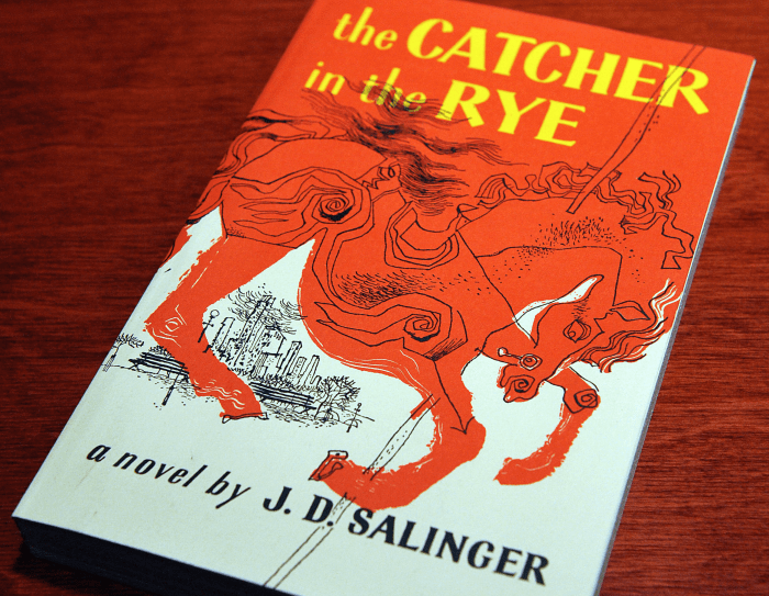 Catcher in the rye quiz