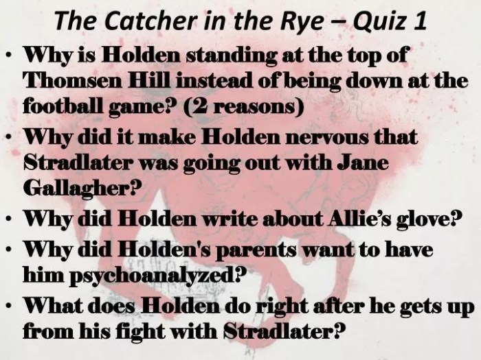 Catcher rye salinger book caulfield lithub