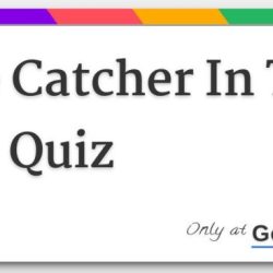 Catcher rye comprehension