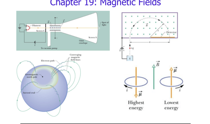 Section 21.1 magnets and magnetic fields