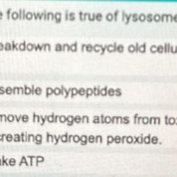 Which of the following is true of lysosomes