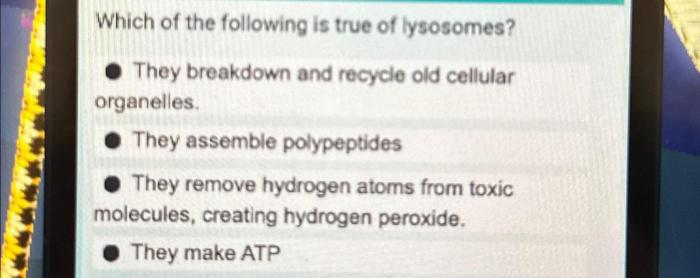 Which of the following is true of lysosomes