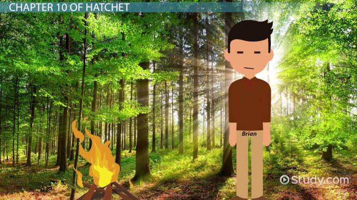 Hatchet test questions and answers pdf