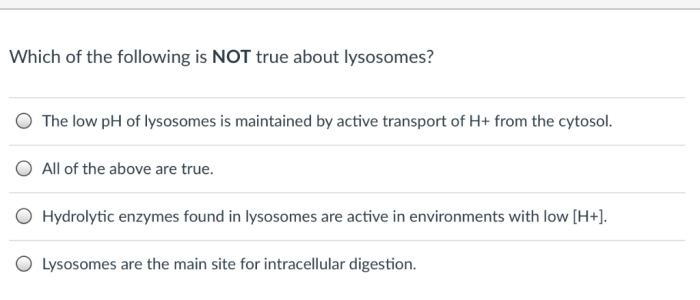 Which of the following is true of lysosomes