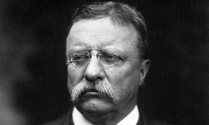 Teddy roosevelt bully for you