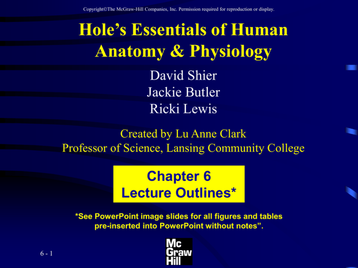 Holes essentials of human anatomy and physiology