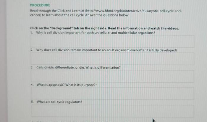 The eukaryotic cell cycle and cancer worksheet answers