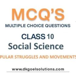 Topic 3.10 social movements and equal protection answers