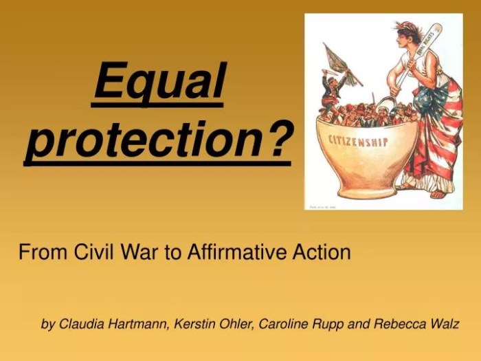 Topic 3.10 social movements and equal protection answers